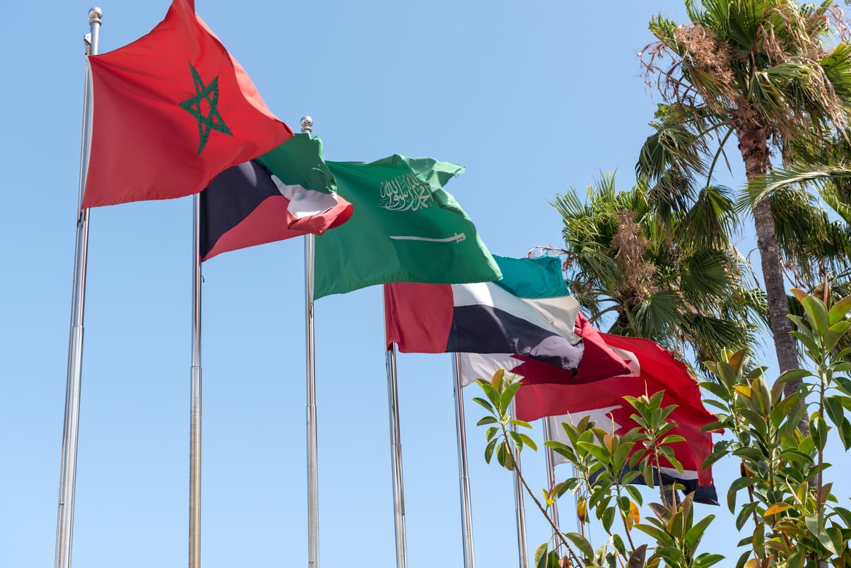 Flags of MENA (Middle East and North Africa)